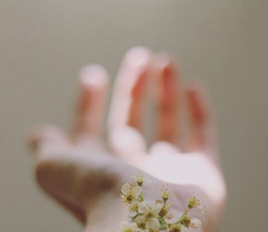 연령별 피부 건강: 호르몬 변화에 따른 피부 관리법 selective focus photography of white clustered flowers on left human hand