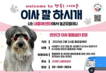 ‘반려동물 문화교실’ 운영으로 책임감 있는 반려문화 유도