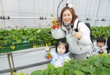 꿈나무들, 도시 농부되다! 어린이 친환경텃밭 딸기체험 실시