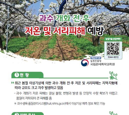 과수 꽃 피는 시기 평년과 비슷하나 편차 커…기상 변동 주의