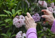 취미활동으로 스트레스 해소하기