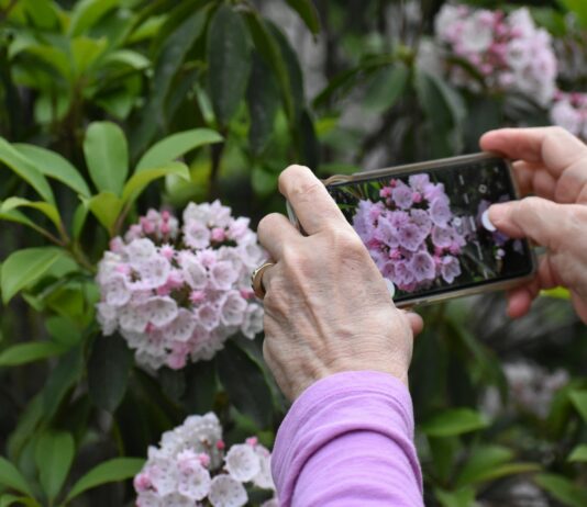 취미활동으로 스트레스 해소하기