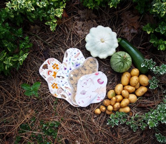 생리 건강 루틴과 페미테크의 부상 a butterfly on a flower