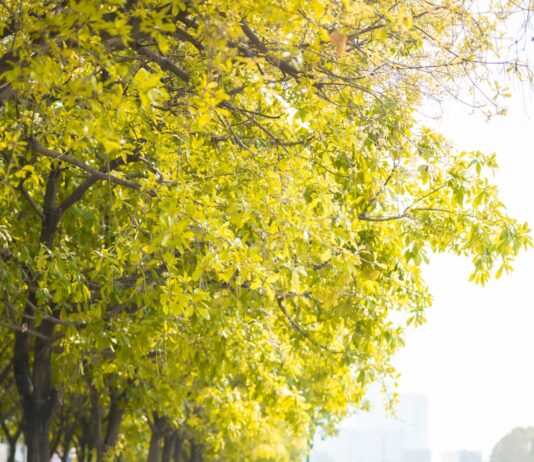 MZ세대, ‘자가 건강 모니터링’에 눈뜨다…헬스케어 디바이스 사용 급증 a couple of people that are walking down a sidewalk