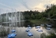 세송이물망초의 연못 개막식 개최