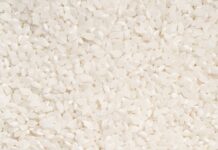 “다이어트 중인데 어지럽고 집중이 안 돼요”… 탄수화물 완전 끊으면 안 되는 이유 white and yellow floral textile