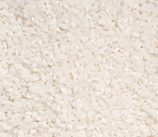 “다이어트 중인데 어지럽고 집중이 안 돼요”… 탄수화물 완전 끊으면 안 되는 이유 white and yellow floral textile