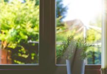 “아무리 운동해도 살이 안 빠져요”… 호르몬 불균형부터 의심하세요 green leafed plant in front of window in shallow focus photography