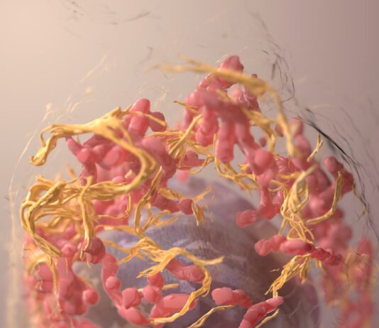 위암 예방을 위한 반찬 조절, 식사의 중요성 blue and red abstract painting