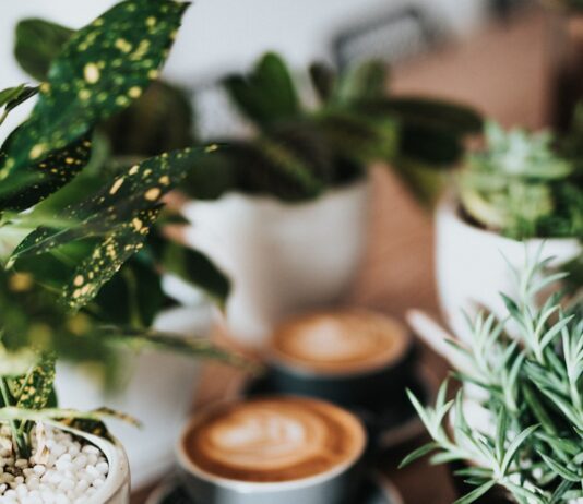 “매일 먹는 커피, 살을 찌우고 있었을지도 모릅니다”…다이어터의 커피 루틴 점검법 shallow focus photography of coffee late in mug on table