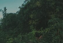 감정이 뒤흔들리는 요즘, 스트레스 호르몬이 보내는 경고를 놓치지 마세요. woman in gray long sleeve shirt covering her face with her hands