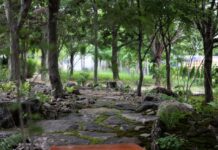 산림청 국립수목원, 생물다양성 증진을 위한 ‘서식처 정원’ 조성