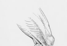 “앉았다 일어설 때 무릎이 뻐근해요”… 운동 부족이 아니라 ‘초기 관절 신호’일 수 있어요 a drawing of a bird flying in the sky