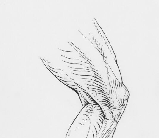 “앉았다 일어설 때 무릎이 뻐근해요”… 운동 부족이 아니라 ‘초기 관절 신호’일 수 있어요 a drawing of a bird flying in the sky