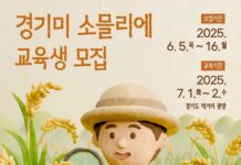 쌀 품종·맛 이해하는 첫 교육… ‘경기미 소믈리에’ 교육생 모집