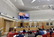 산림청, 유엔식량농업기구에서 국제 산불협력 강화