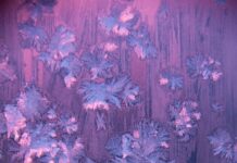 갱년기 증상 완화와 호르몬 건강, 슬기로운 변화의 첫걸음 ice particles artwork