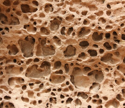 골다공증 예방과 뼈 건강 a close up of a rock with holes in it