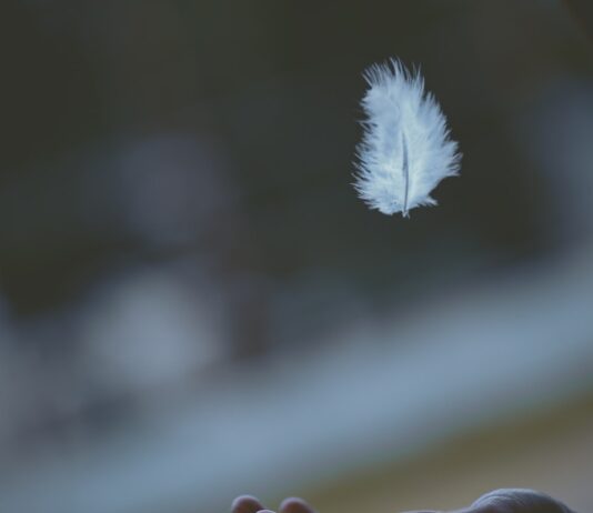 자신의 삶과 주변 환경에 대한 관심이 매우 높은 MZ세대들이 이목을 가지는 정신건강 shallow focus photography of white feather dropping in person's hand