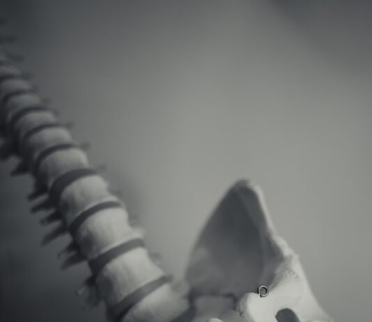 올바른 영양섭취와 운동으로 골다공증 예방하기 grayscale photo of dragon figurine