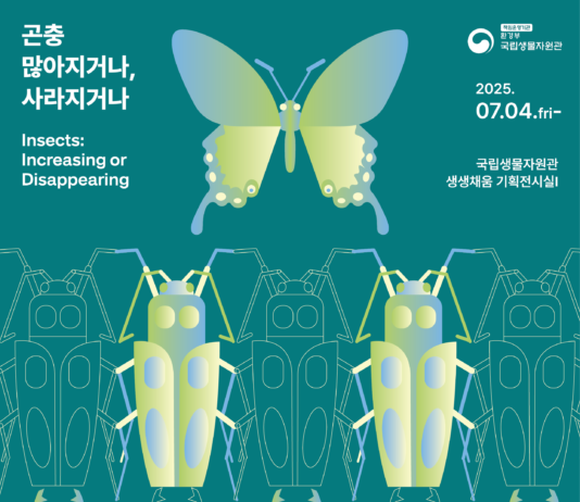 곤충, 작지만 강한 존재의 이유 알려드려요