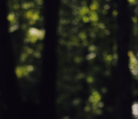 만성 통증, 대체요법으로 삶의 질 높인다 green moss on gray rock