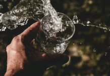 초여름, 건강 챙기는 5가지 팁 person holding drinking glass filled with water