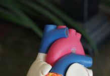 심혈관 건강 챙기는 비법, 올바른 식단 조절의 중요성 orange heart decor