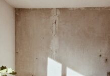 숙면을 위한 실천법, 수면의 질 높이는 다섯 가지 방법 leaf plant near bed