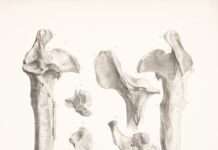 골다공증 예방, 튼튼한 뼈 건강을 위한 생활습관 가이드