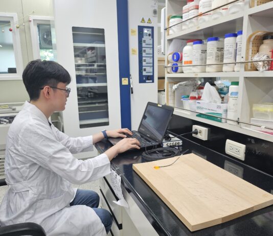 미생물로 악기용 목재의 음향 품질 높인다