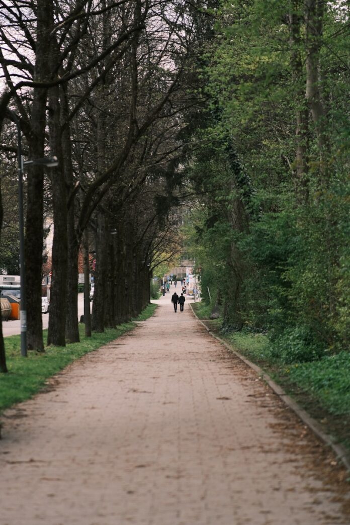 a couple of people walking down a dirt road