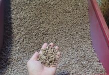 목재펠릿 보일러·난로 지원사업 신청하세요!