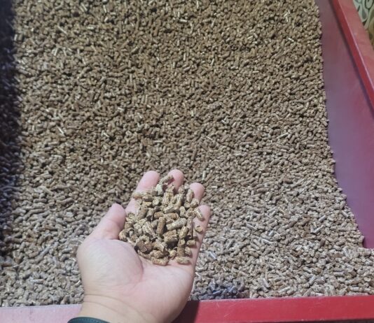 목재펠릿 보일러·난로 지원사업 신청하세요!