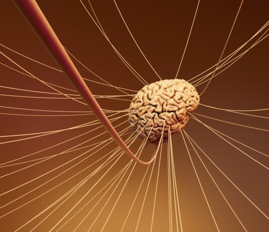 뇌건강, 젊음과 기억력을 지키는 첫걸음 A computer generated image of a human brain