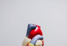 “갑자기 심장이 쿵쾅거려요”… 이것도 스트레스의 신호일까요? red and yellow bird figurine