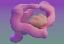 “대장앎의 달” 맞아 조기검진 강조… 대장암 예방이 최선의 치료 A close up of a pink object on a purple background