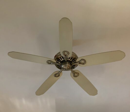 여름철 건강 지키는 5가지 실천법 white 5 blade ceiling fan