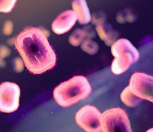 Mpox 비상사태 해제… “끝난 것이 아니라 관리의 시작” a close up of a cell phone with a purple background