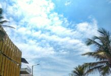 짧은 산책의 힘, 일상 속 건강을 챙기는 작은 변화 a street with palm trees and buildings