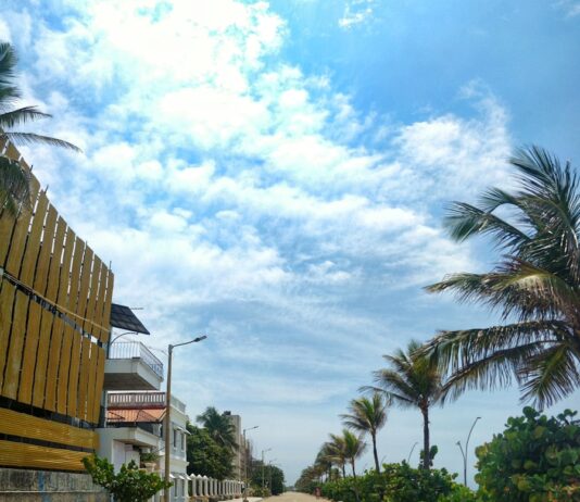 짧은 산책의 힘, 일상 속 건강을 챙기는 작은 변화 a street with palm trees and buildings