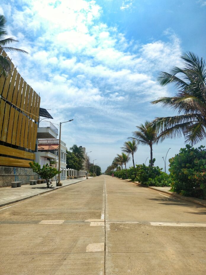 Photo by Abishek k a street with palm trees and buildings