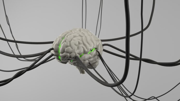 Photo by Bhautik Patel A computer generated image of a brain surrounded by wires