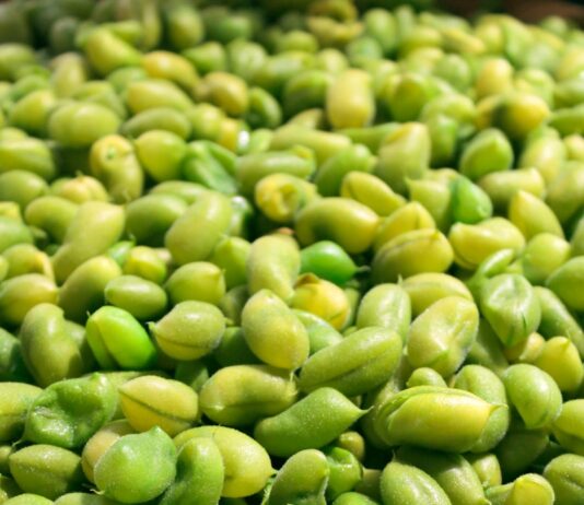 근육 건강, 단순 운동 넘어 식물성 단백질과 ‘마이오카인’이 열쇠 green fruits