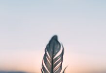 ‘15분 건강 루틴’… 바쁜 직장인을 위한 실천 가능한 건강 관리법 주목 tilt shift lens photography of person holding white feather