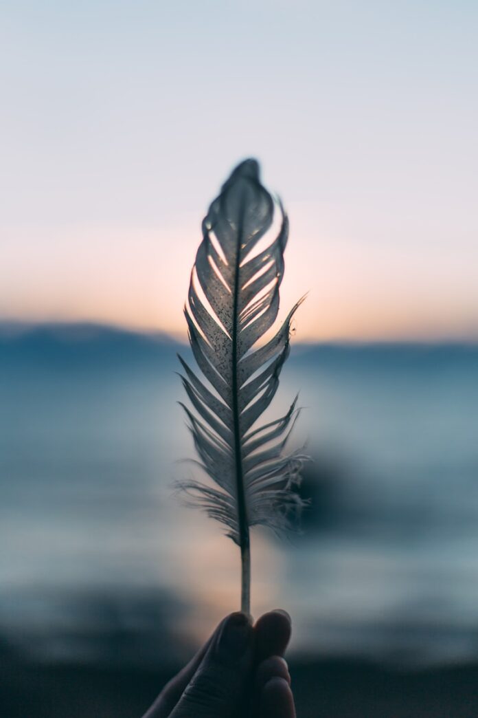 Photo by Daiga Ellaby tilt shift lens photography of person holding white feather