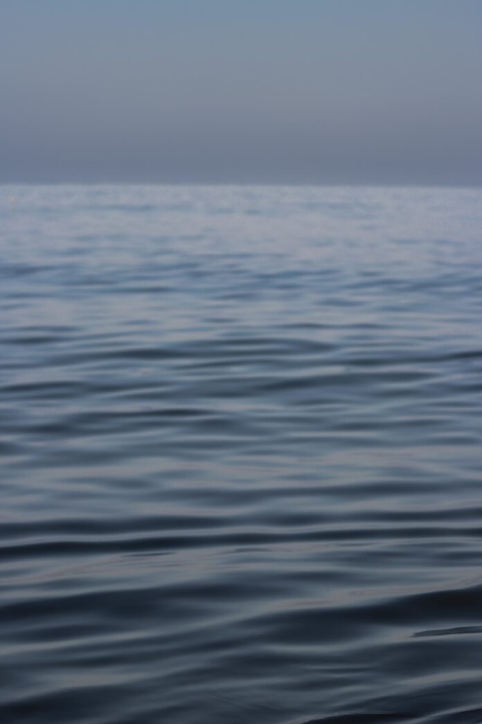 a view of a body of water from a boat
