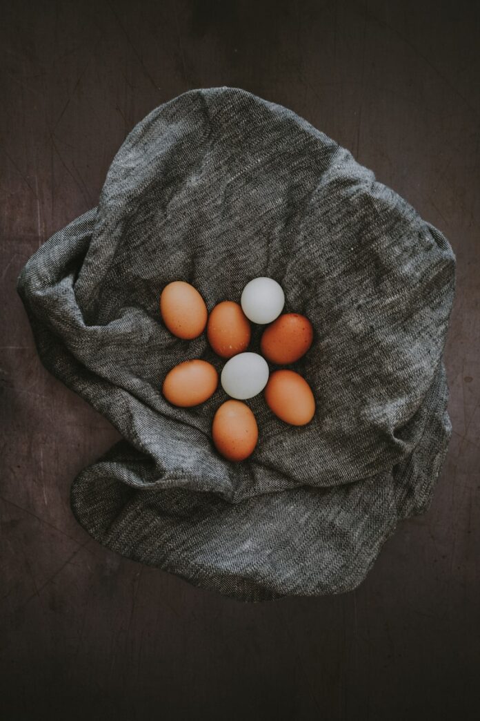 white and brown egg lot on grey textile