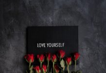 나만의 웰니스, 일상에서 찾는 새로운 건강 문화 red rose on gray textile