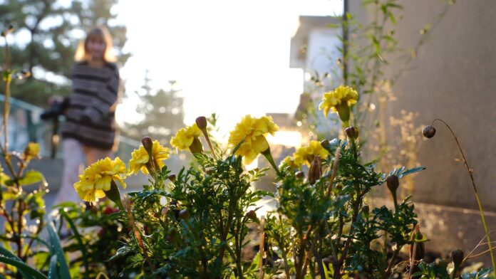 a woman walking down a street past a bunch of flowers